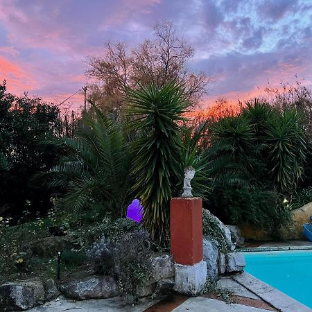 Le Clos De L'Isle Arles Dış mekan fotoğraf